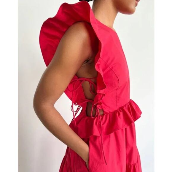 Allina Liu Says Gah! Camilla Dress - Picture 6 of 15